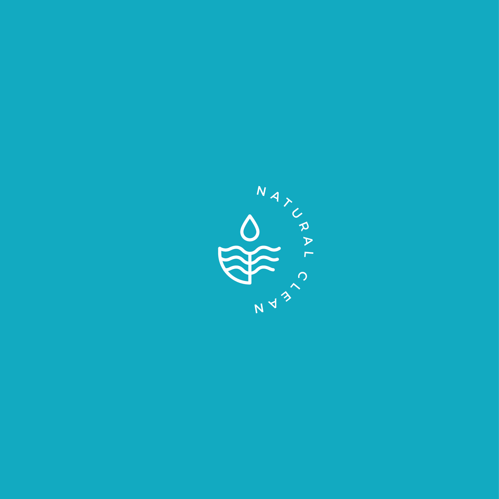 Natural Clean Logo